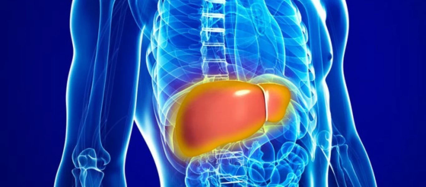 Δείτε ποιες είναι οι 6+1 τροφές που ενισχύουν την υγεία του ήπατος